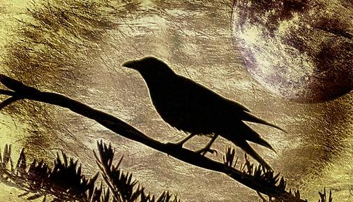 金色月亮的乌鸦，背景怪异
